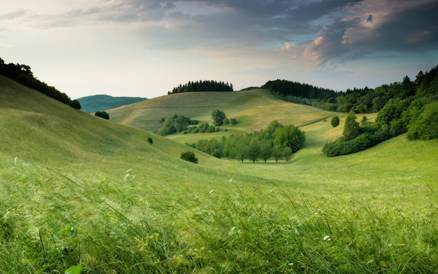Greenia Plain